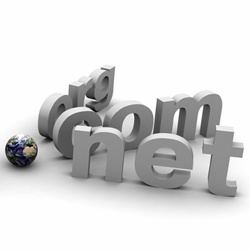 CARA MEMPERSIAPKAN NAMA DOMAIN
